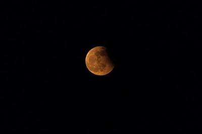 Lunar Picnic