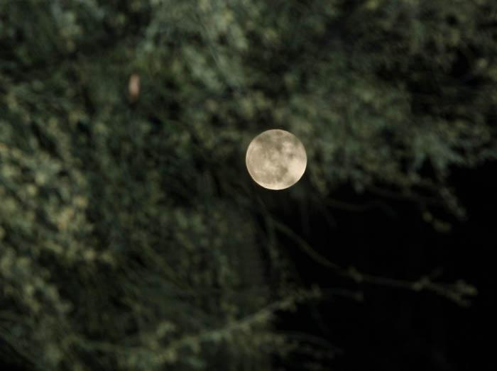 Blue moon