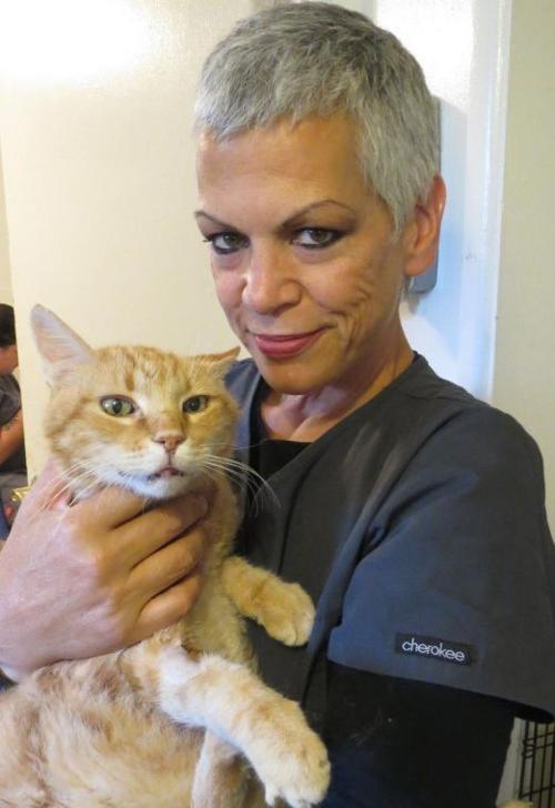 Hermitage Cat Shelter Welcomes New Cat Care Manager Pet News
