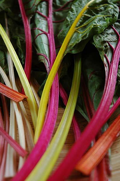 Healthy plate: Give chard a chance