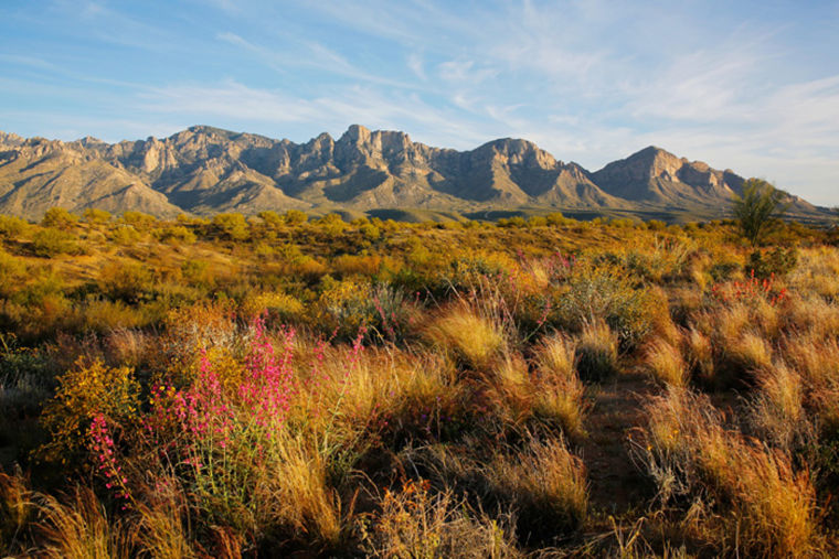 Santa Catalina Mountains