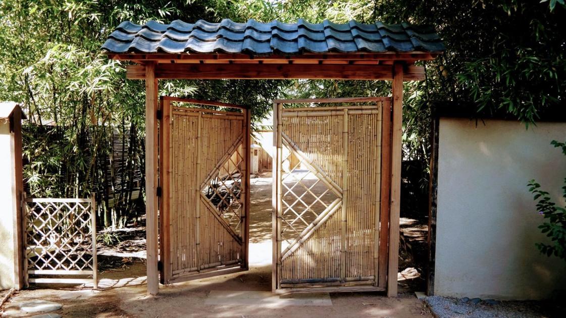 Sahara desert facts image