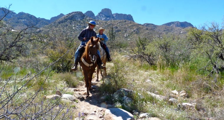 are dogs allowed at catalina state park