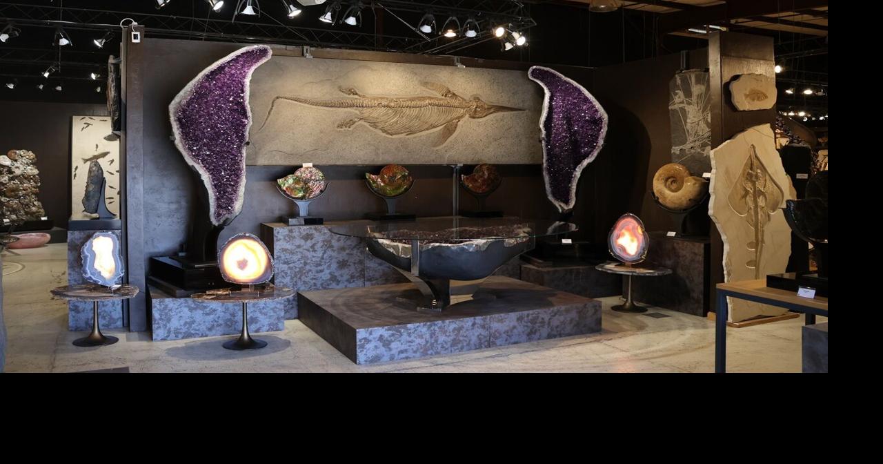 Oracle Road's fossil co-op opens its doors for a spring showcase
