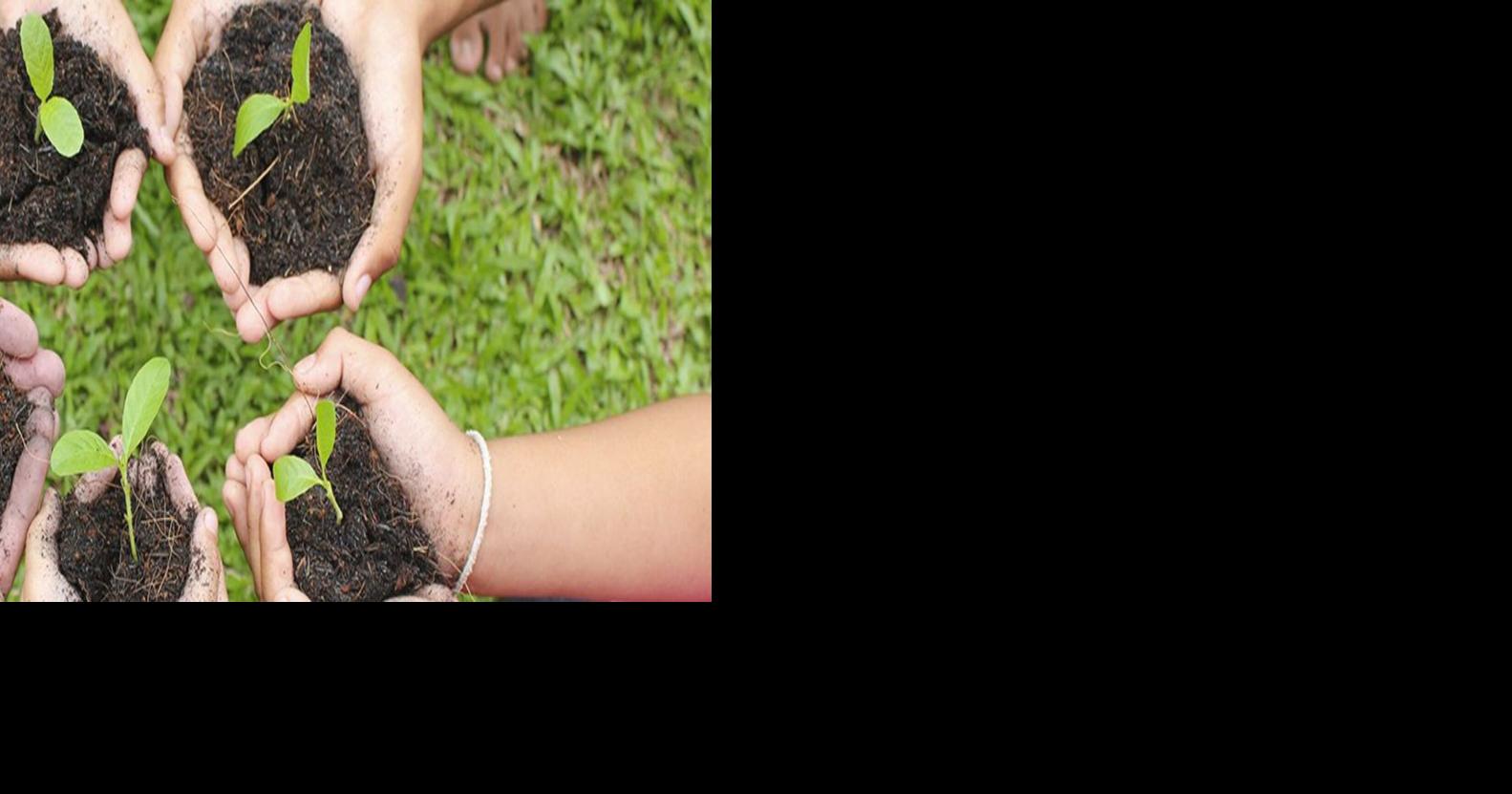 New book follows growth, success of the Community Food Bank of Southern