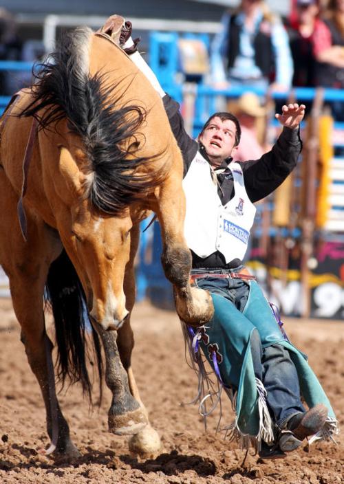 Fiesta de los Vaqueros