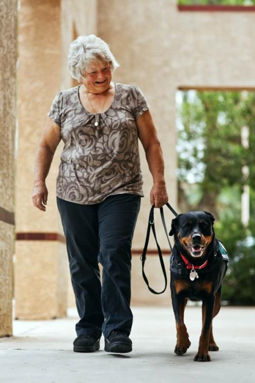 Handi-Dog