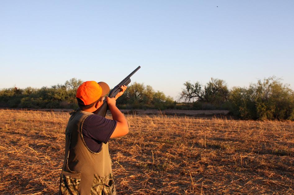 New dovehunting in Arizona season features increased bag limit News
