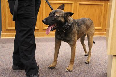 Oro Valley Police Unveil New Canine Officer News
