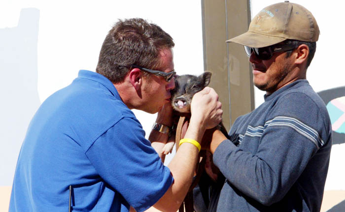 Kiss a pig 1