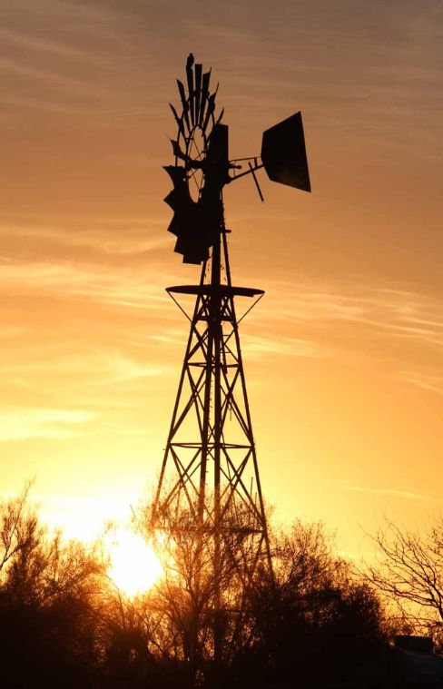 Hawk perched on a windmill