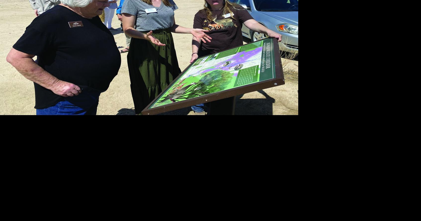 Oro Valley sign celebrates wildlife crossings | News | tucsonlocalmedia.com