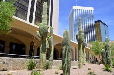 In Pima County New Faces Seek Office In 2020 News