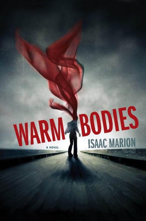 Warm Bodies Book
