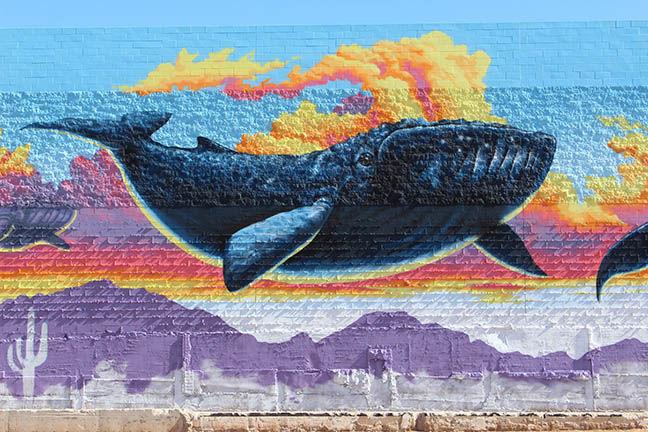 Tucson Artist Paints A Whale Of A Mural Liven Up