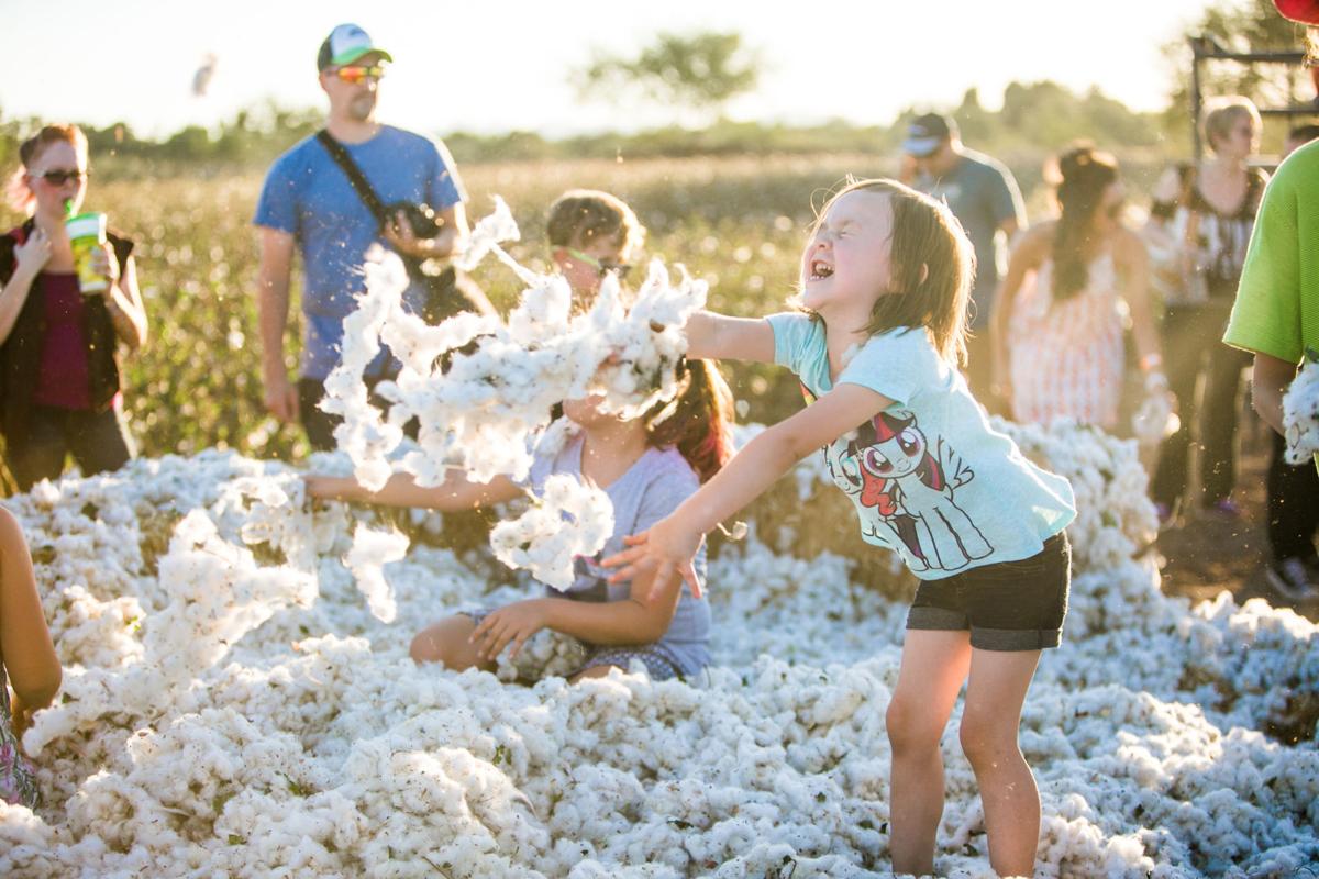 The Marana Cotton Festival returns this weekend Marana News