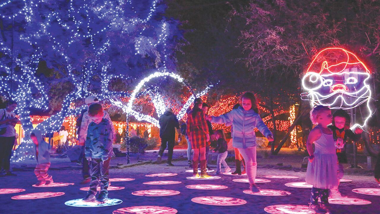 Wild for the Holidays: Reid Park Zoo ready for the season with