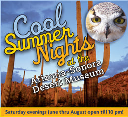 Cool Summer Nights at Desert Museum | Ventureout | tucsonlocalmedia.com