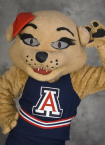 Wilma the Wildcat