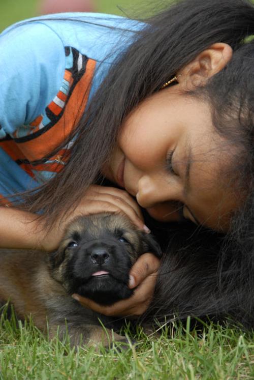 Dog Days in the Desert Summer camps
