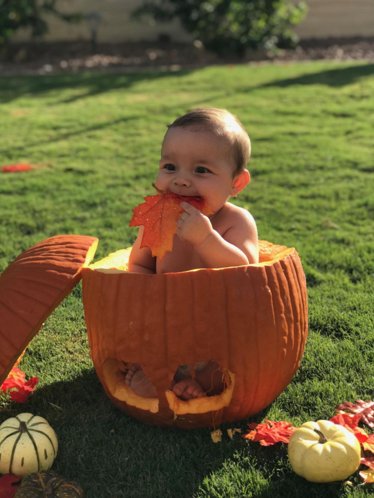 Oh my gourd