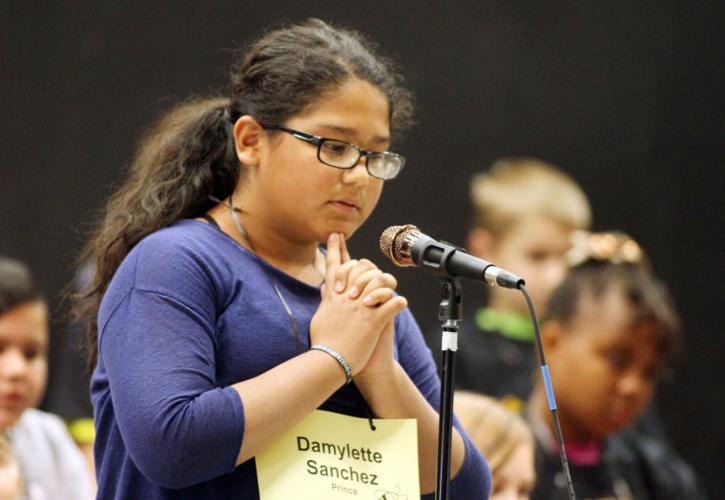 Amphitheater School District s spelling bee News tucsonlocalmedia com