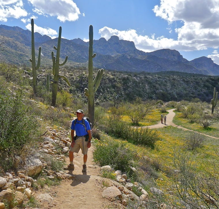 Escape to the Sonoran Desert: Your Guide to Arizona's Catalina State Park