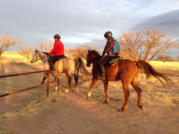 Arizona American Endurance Ride in Sonoita