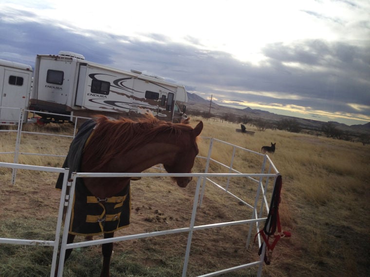 Arizona American Endurance Ride in Sonoita