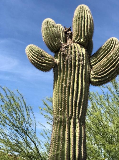 Reader Photo of the Week 7-1-20
