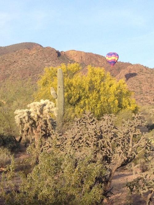 Hot air balloon