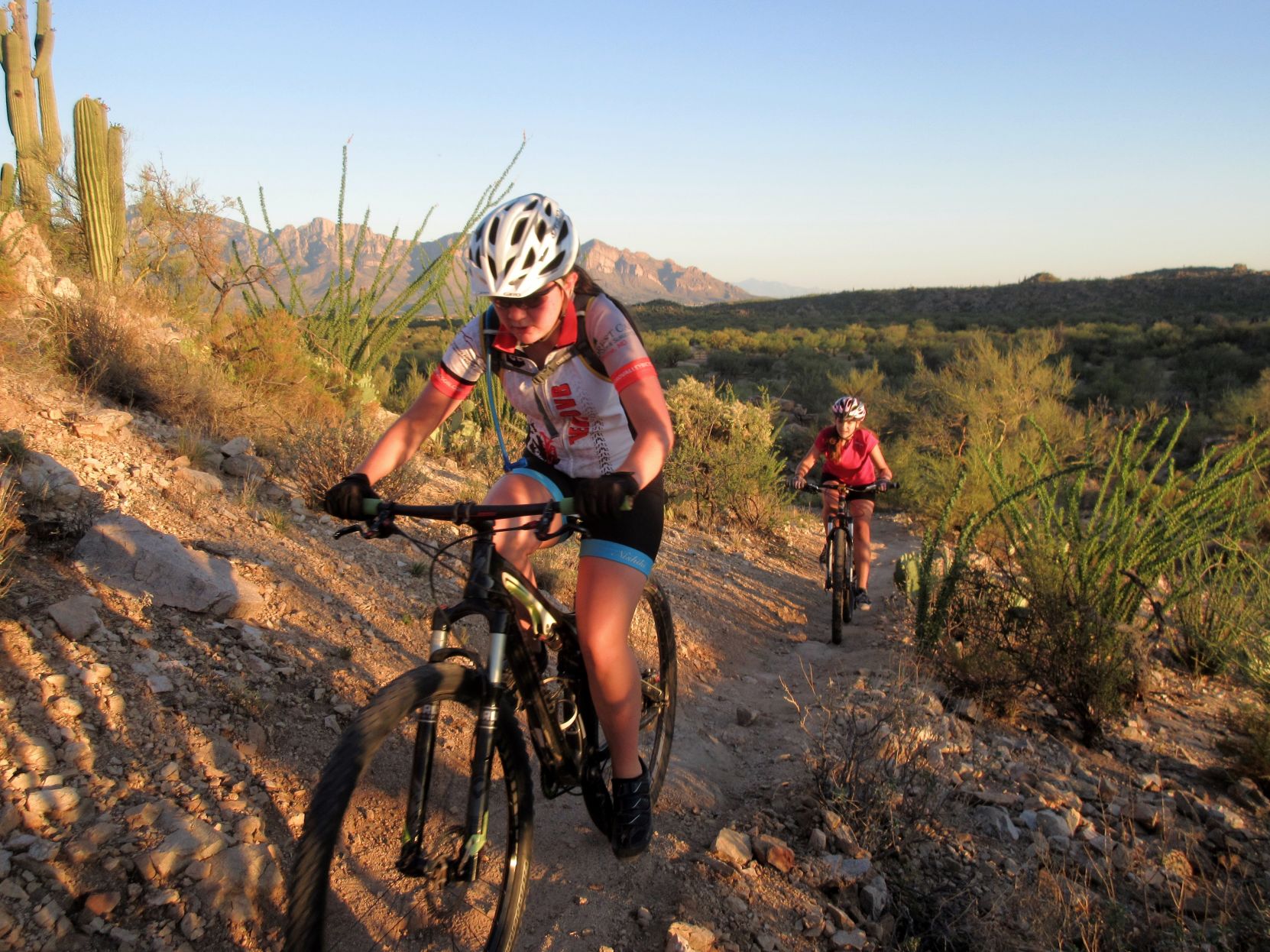 Oro valley bicycle online ina