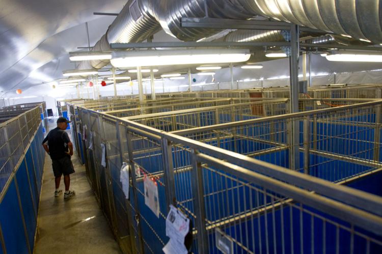 Pima County bond initiative to help Pima Animal Care Center | News |  
