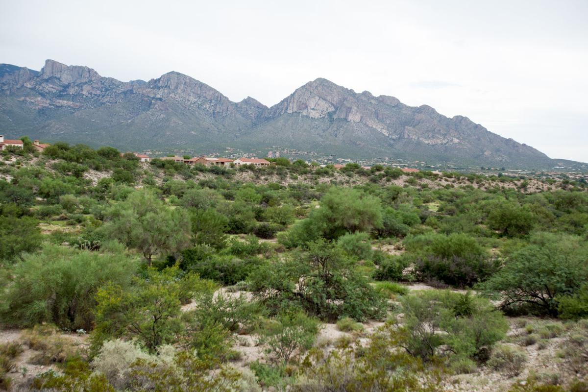 developer residents at odds