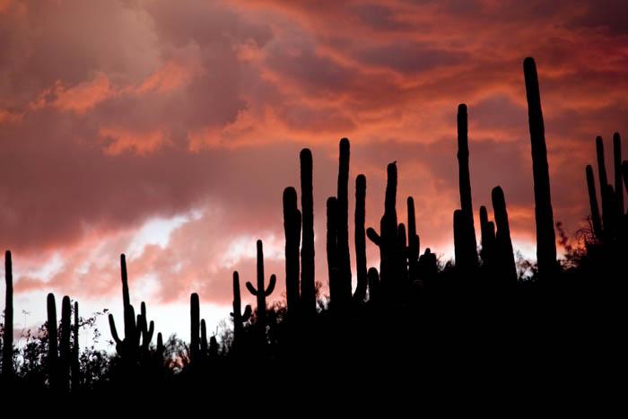 Monsoon sunset