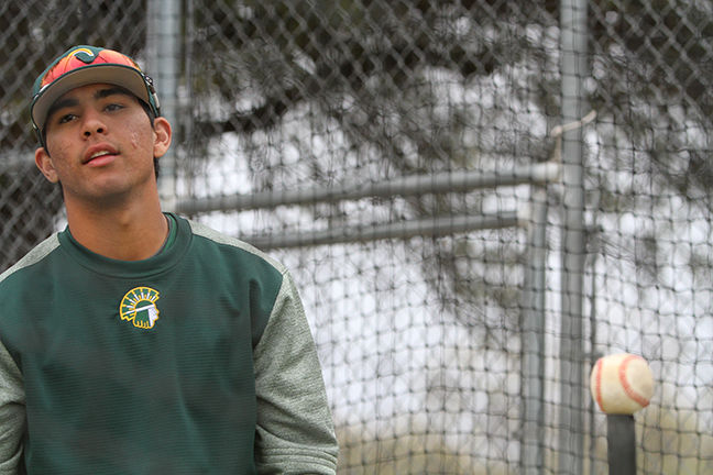 Ian Kinsler (Canyon del Oro High School)