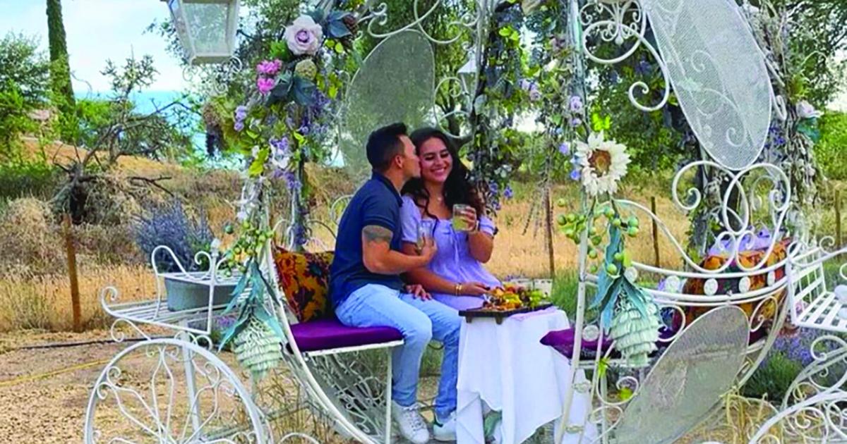 Purple Ranch Purple Passion: Lavender farm is awash in color | Arts ...