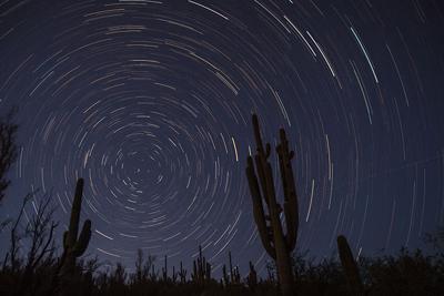 reader photo of the week