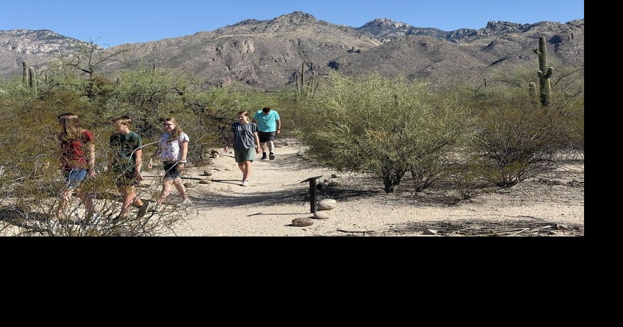 See Sabino Canyon at night