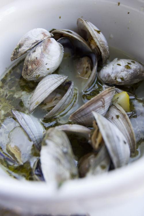 Sippin Social - Bluefin Seafood Bistro