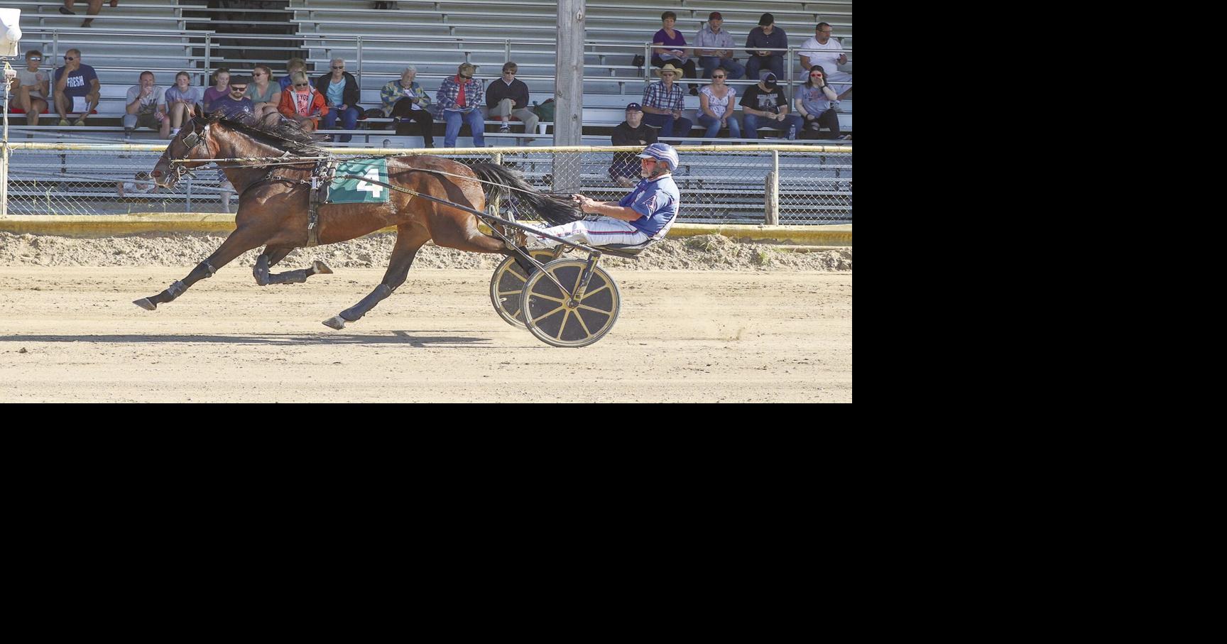 Harness-racing enjoys resurgence in Caro | News | tuscolatoday.com