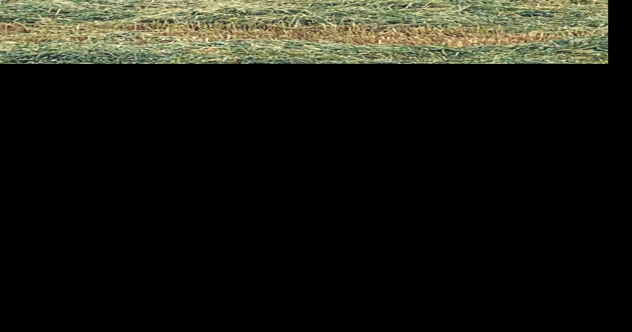 Hay farmer avoids injury when tractor burns near Vassar | Local News ...