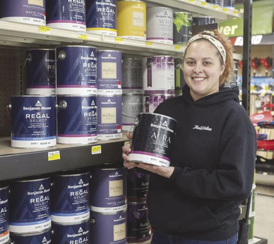 Winter chill heats up hardware store sales Local News