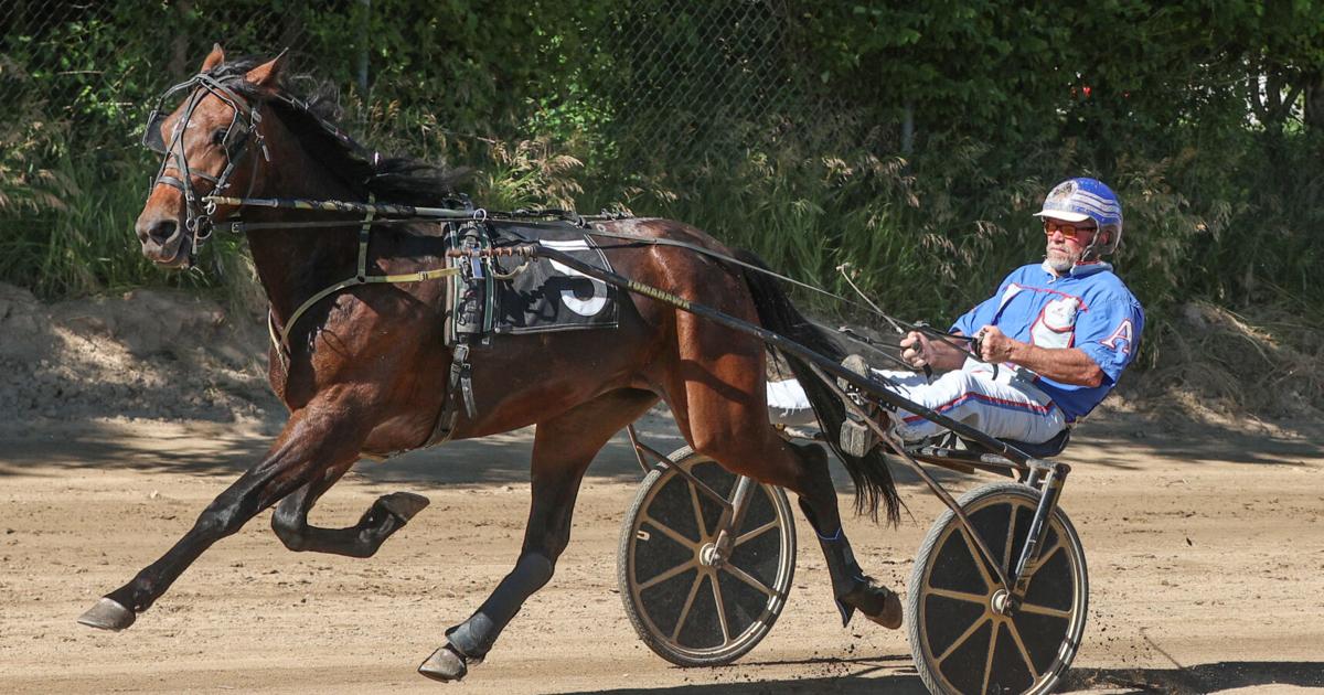 Matthew Roach Racing Harness racing vet Roach ready to roll at fair | News | tuscolatoday.com