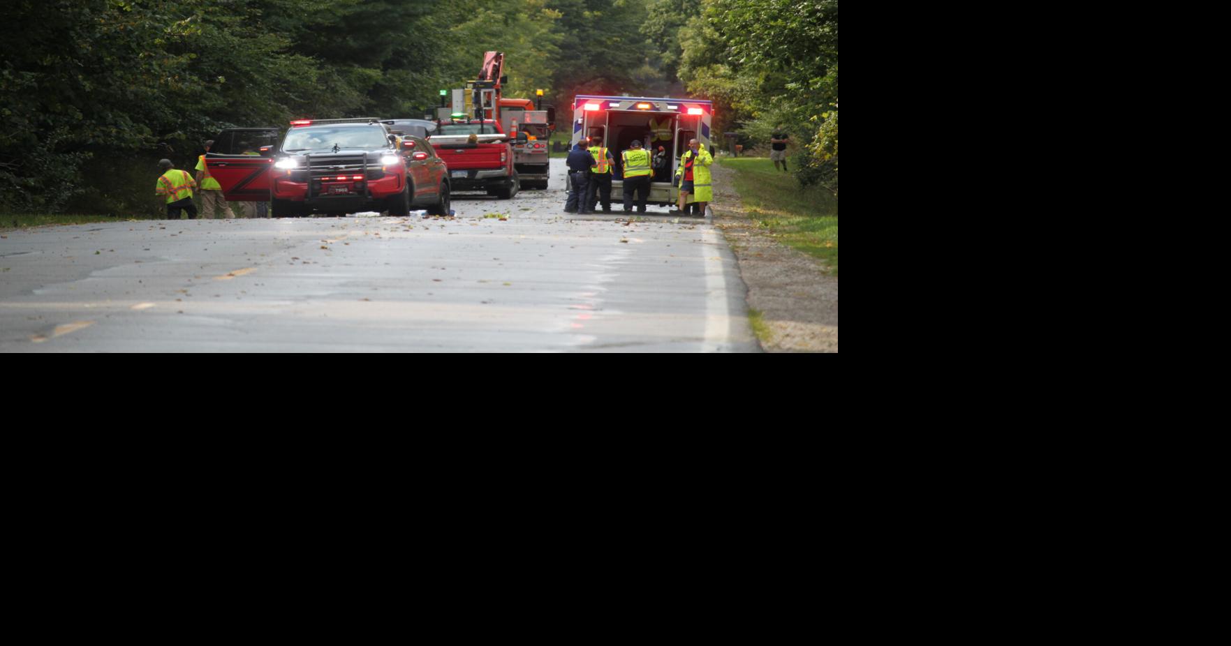 Tree Strikes Car, Deford Driver Hurt
