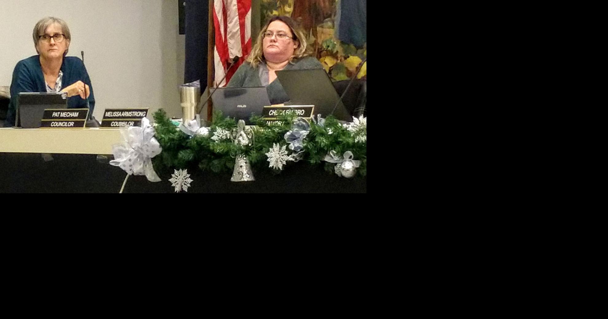 Two mayoral seats among city council spots in play Local News