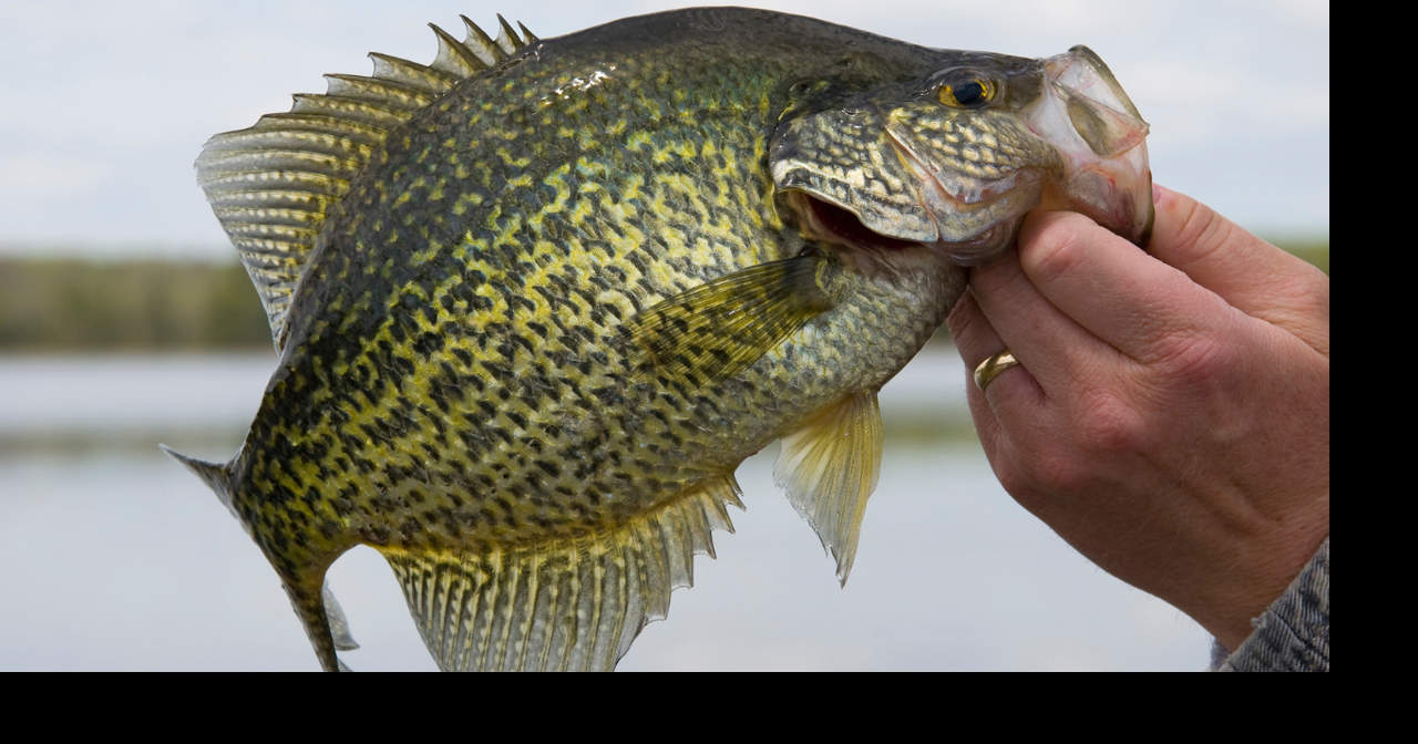 Mississippi fishing tournament to support Purple Heart recipients