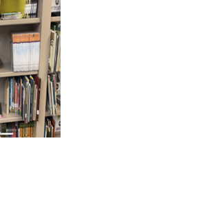 Mississippi ranks number one in the nation in 4th grade reading