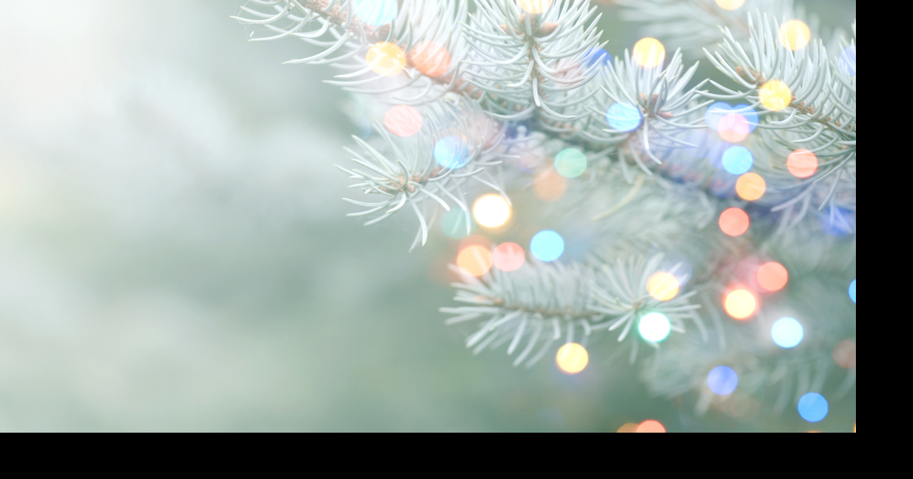 Downtown Meridian opens holiday season with festive open house