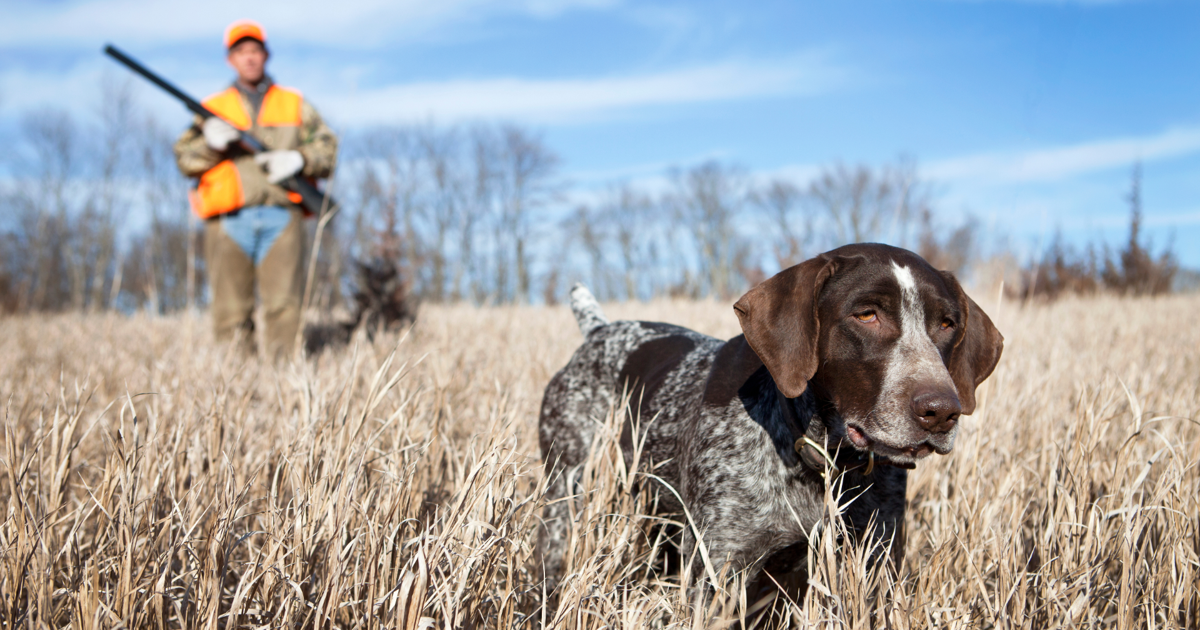 Hunting seasons begin in Mississippi as nation marks hunting day
